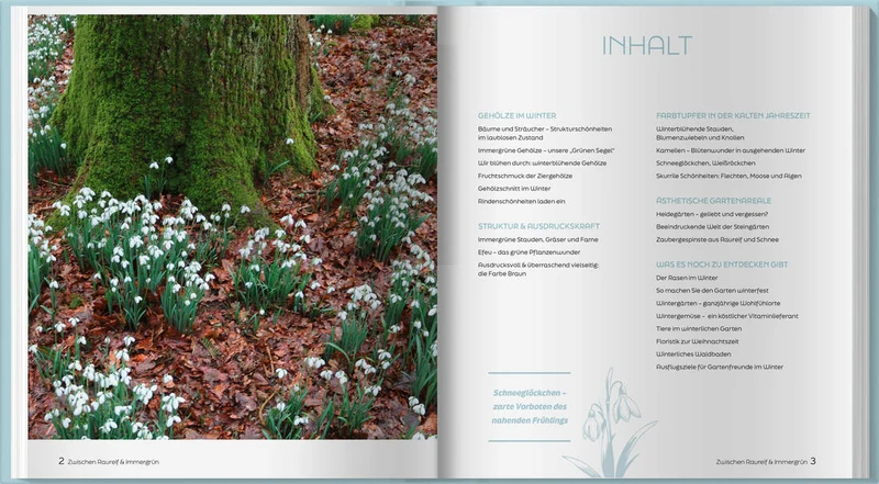 Zwischen Raureif und Immergrün