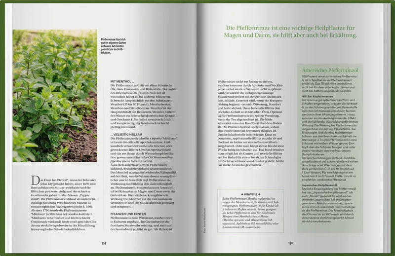 Landlust Naturapotheke 2
