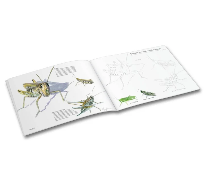 Mal- und Zeichenbuch "Insekten in unseren Gärten"