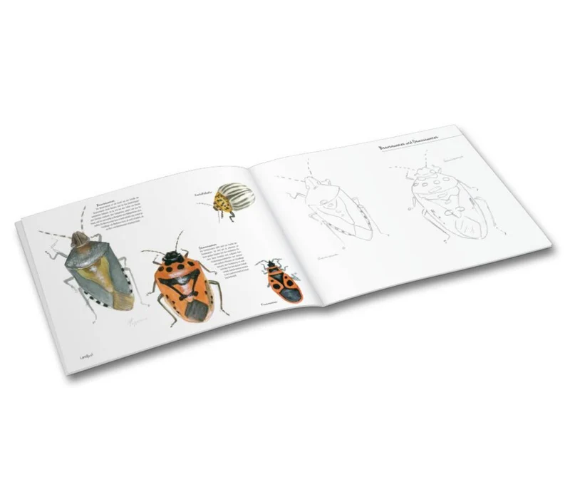 Mal- und Zeichenbuch "Insekten in unseren Gärten"