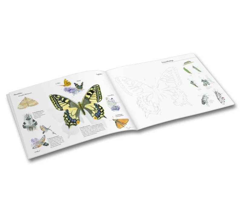 Mal- und Zeichenbuch "Insekten in unseren Gärten"