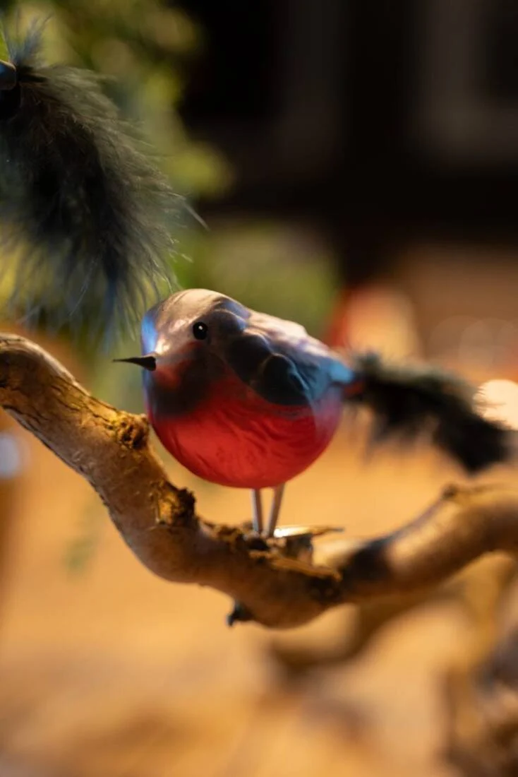 Vogelpaar Dompfaff