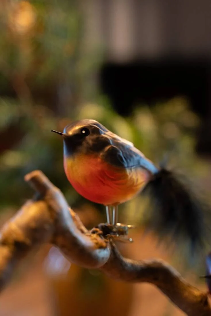 Vogelpaar Dompfaff