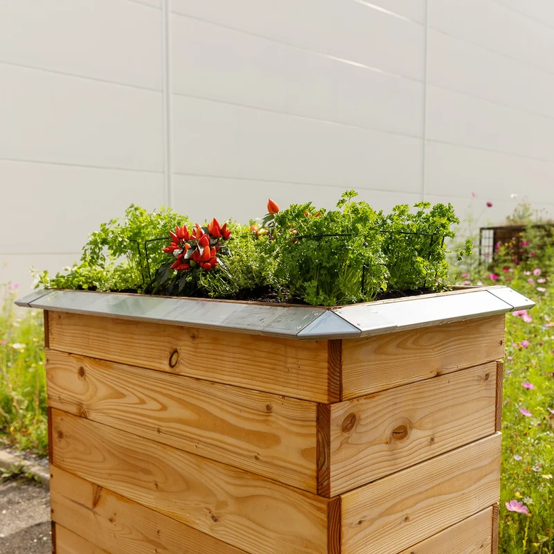 bellissa Schneckenblech für Hochbeete S verzinkt, Länge 50 cm