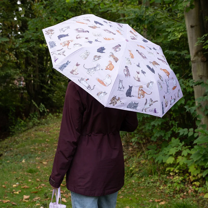 Taschenschirm mit Katzenmotiv