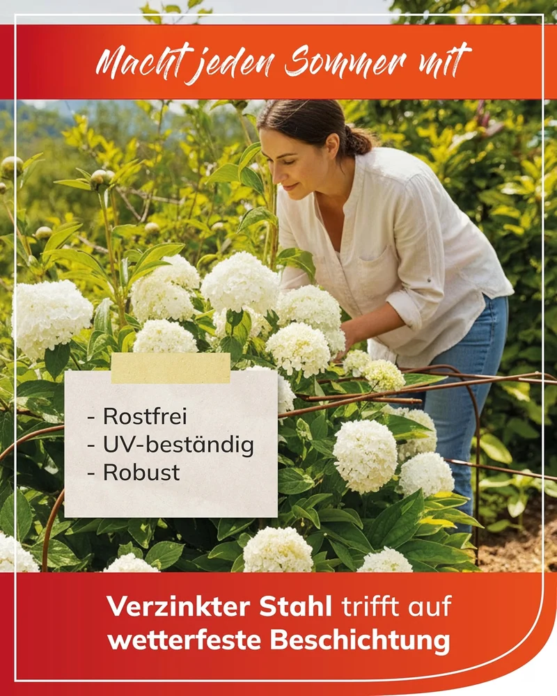 bellissa Annabelle Hortensienstütze - 65 cm x 57 cm x 60 cm