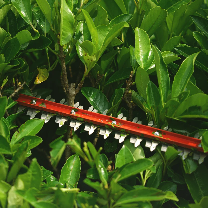 40V Heckenschere 61cm - Ohne Akku