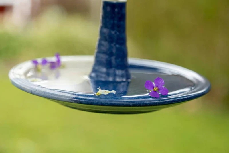 Vogel- und Insektentränke