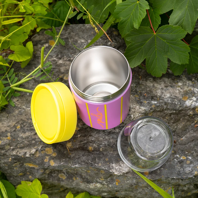 Lunchpot Streifen aus Edelstahl, isoliert