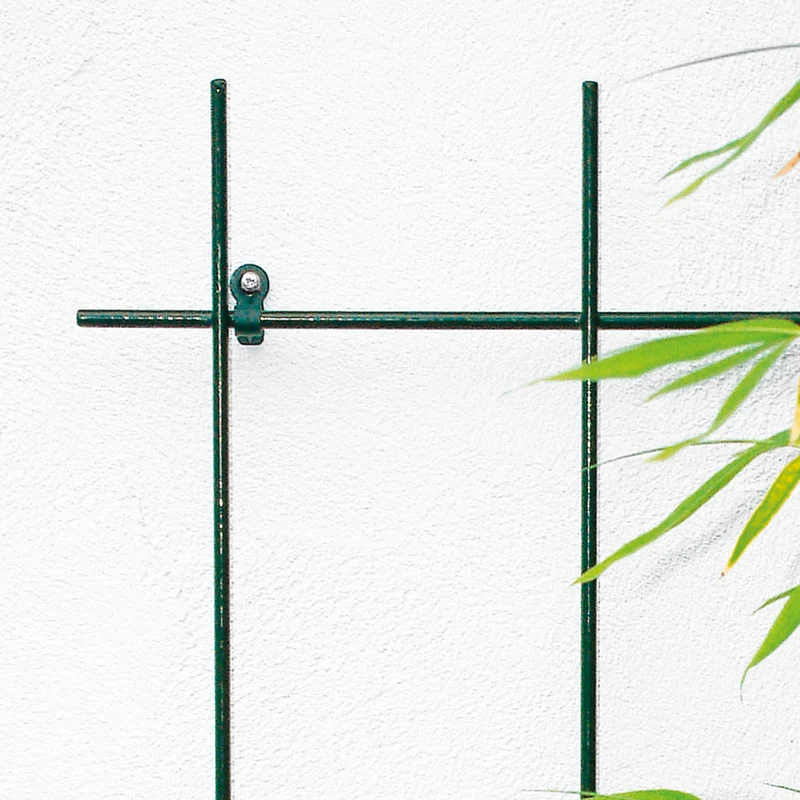 bellissa Extra starkes Spalier 3-strebig S 150 x 45 cm