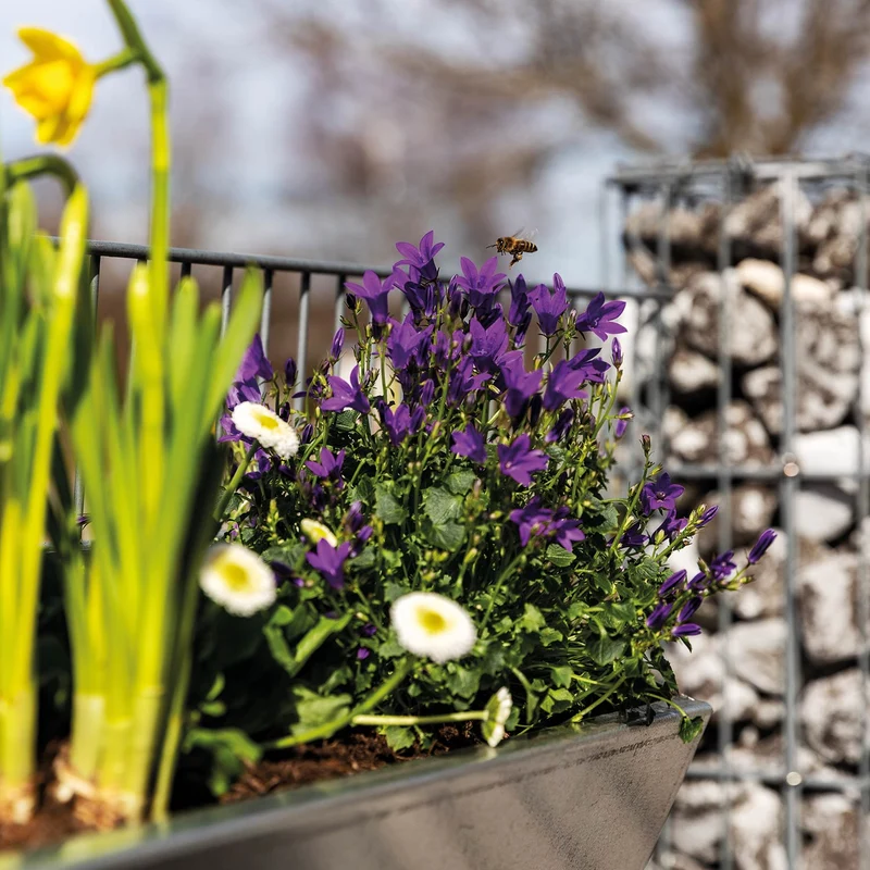 bellissa Origami Pflanzkasten Blumenkasten