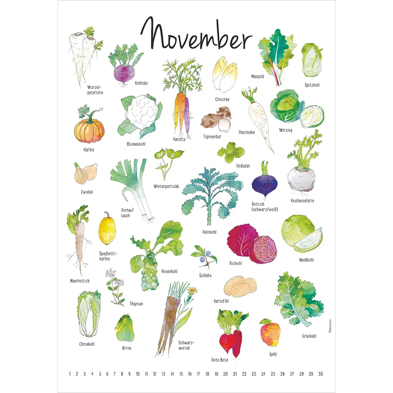 Der Saisonkalender
