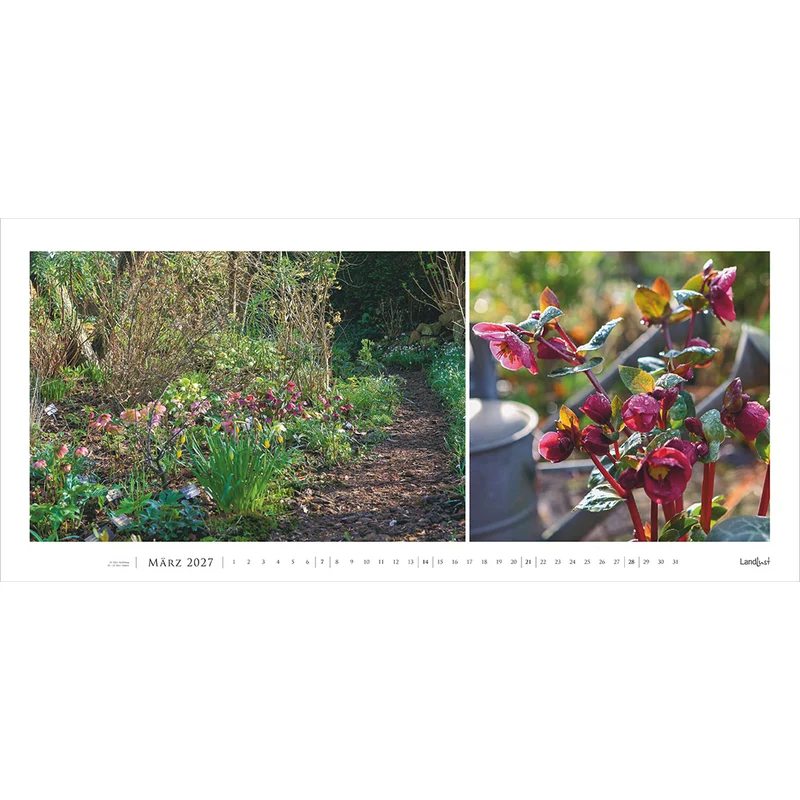 Garten-Kontraste 2027