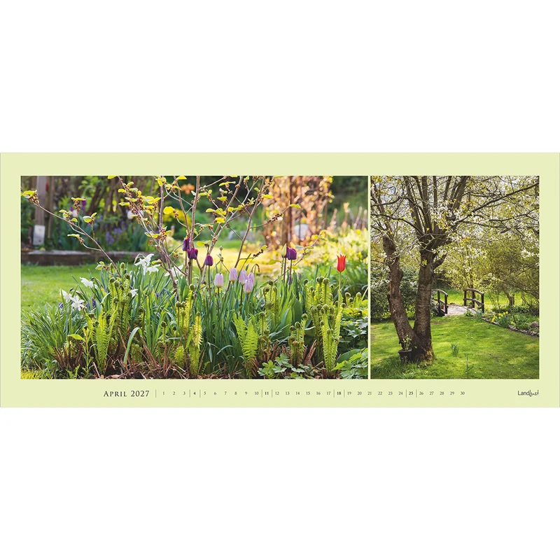 Garten-Kontraste 2027
