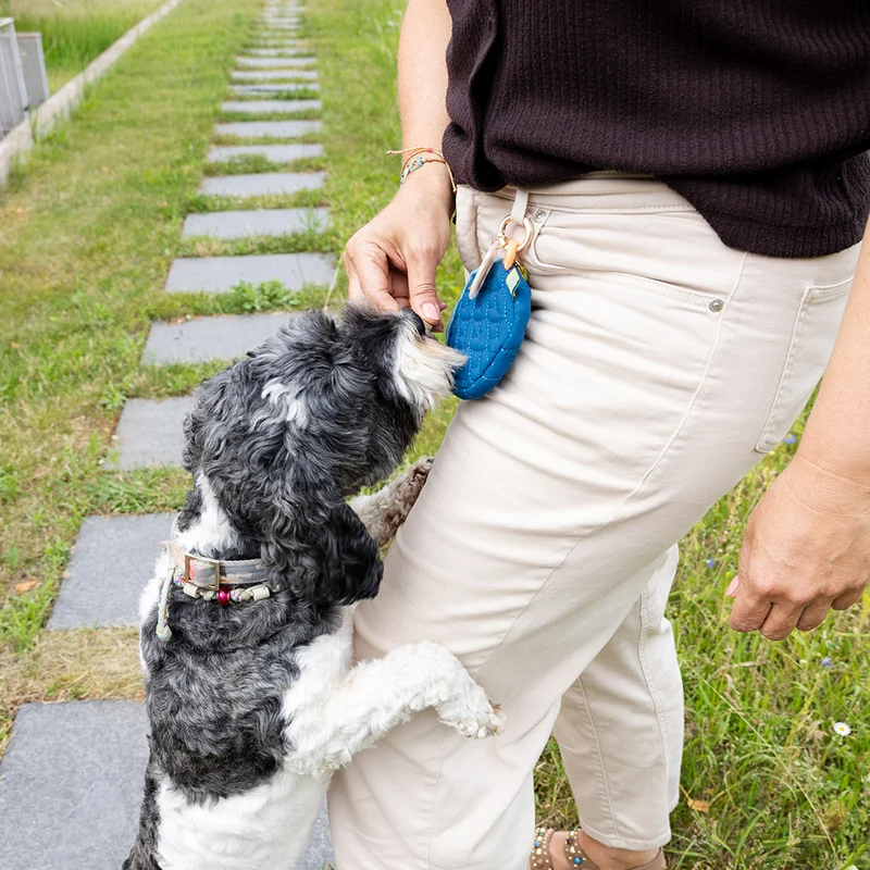 Schlüsselanhänger und Allzwecktäschchen Hunde (2er-Set)