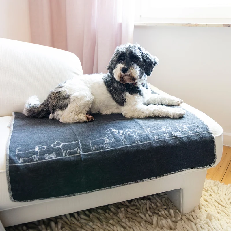 Körbchendecke Hunde