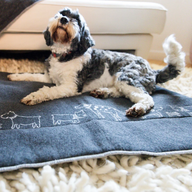 Haustiermatte wattiert Hunde
