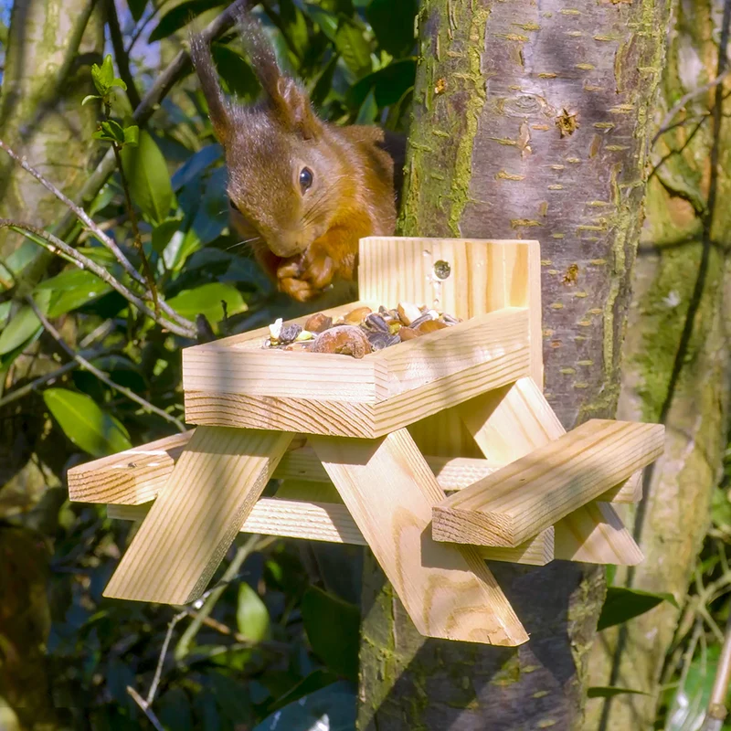 Picknicktisch für Eichhörnchen