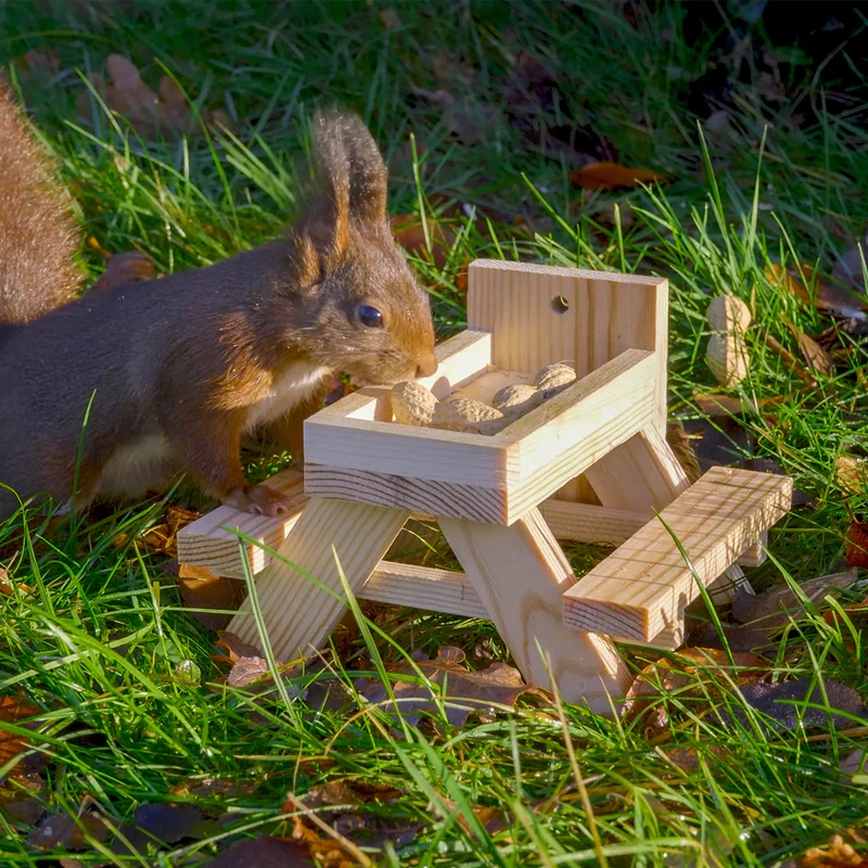 Picknicktisch für Eichhörnchen
