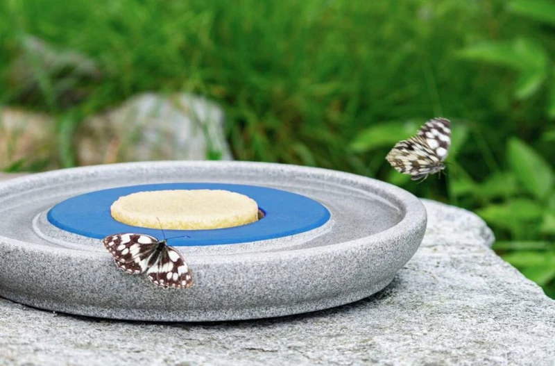 Insektenstation