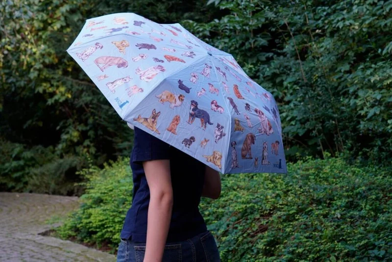Taschenschirm mit Hundemotiv