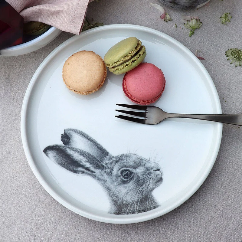 Teller Hase