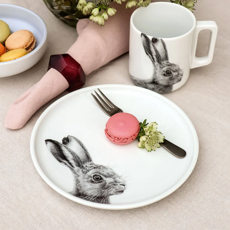 Teller Hase