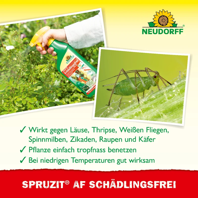 Spruzit AF Schädlingsfrei