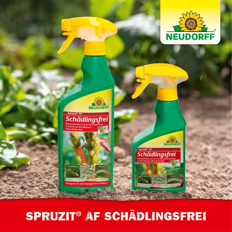 Spruzit AF Schädlingsfrei