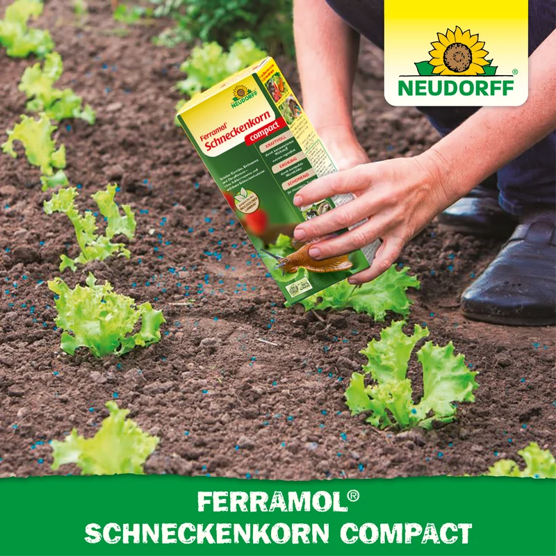 Ferramol Schneckenkorn compact