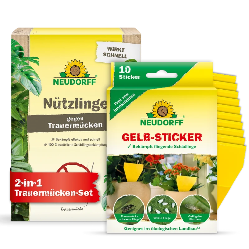 Trauermücken-Set