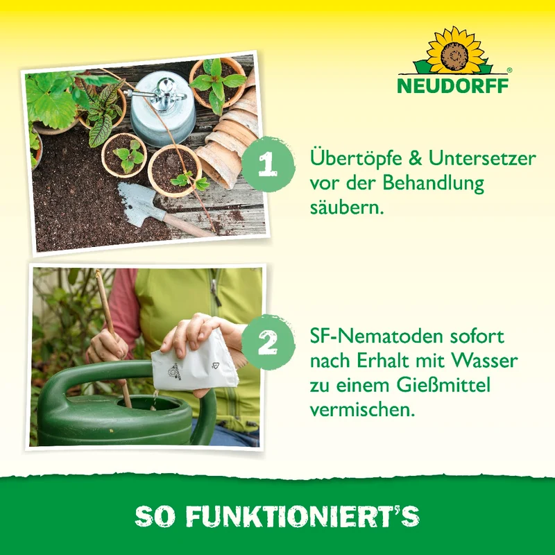 Trauermücken-Set