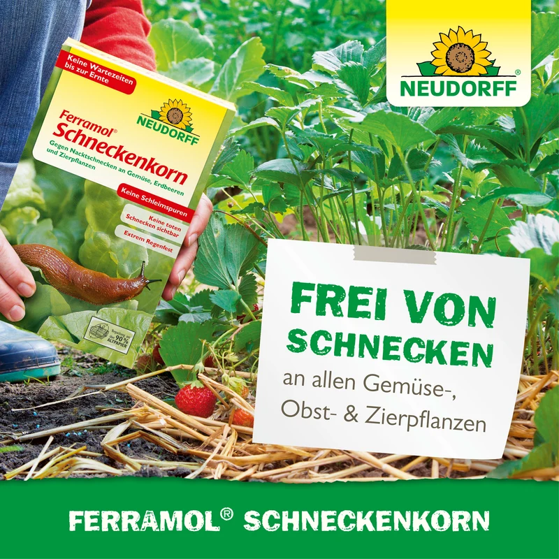 Ferramol Schneckenkorn