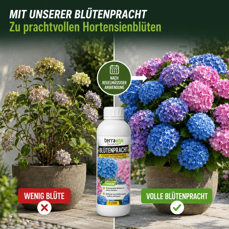 Blütenpracht - Flüssiger Hortensiendünger