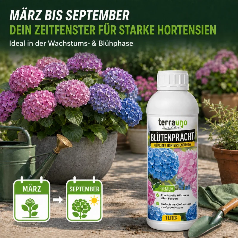 Blütenpracht - Flüssiger Hortensiendünger