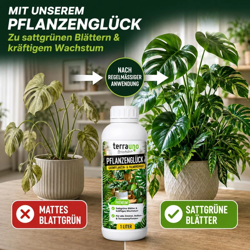 Pflanzenglück - Grünpflanzen- & Palmendünger