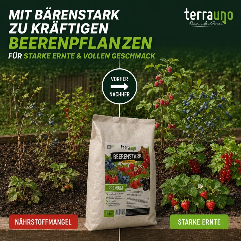 Beerenstark - Bio Beerendünger