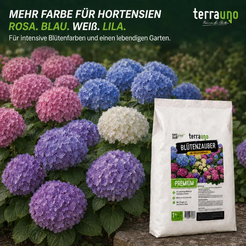 Blütenzauber - BIO Hortensiendünger