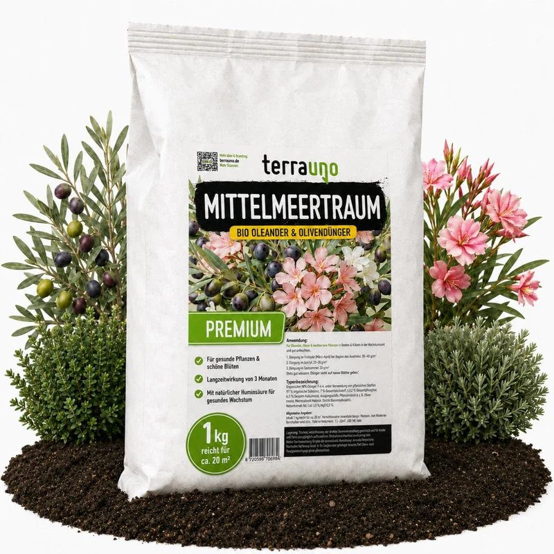 Mittelmeertraum - Oleander & Olivendünger
