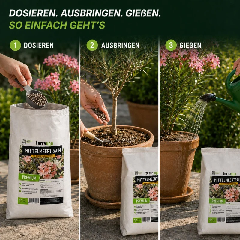 Mittelmeertraum - Oleander & Olivendünger