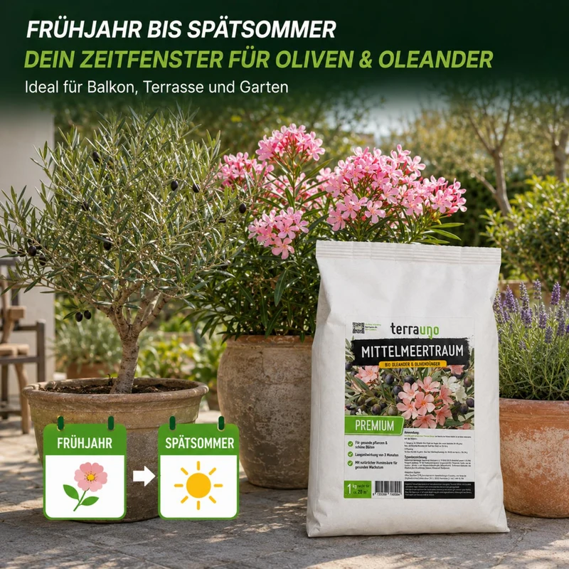 Mittelmeertraum - Oleander & Olivendünger