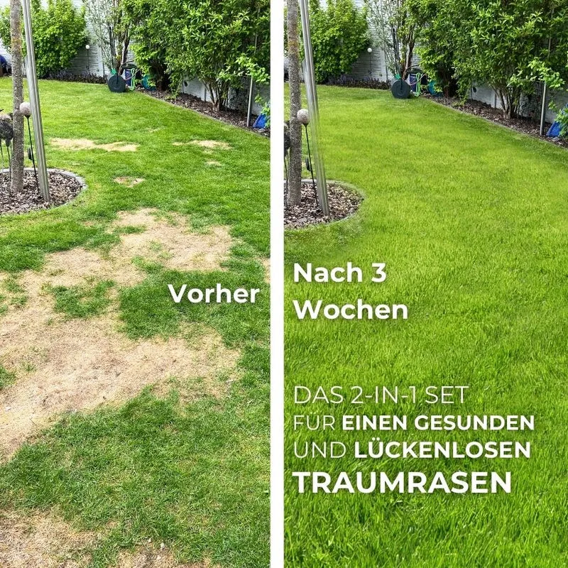 Saisonstart-Rasenset