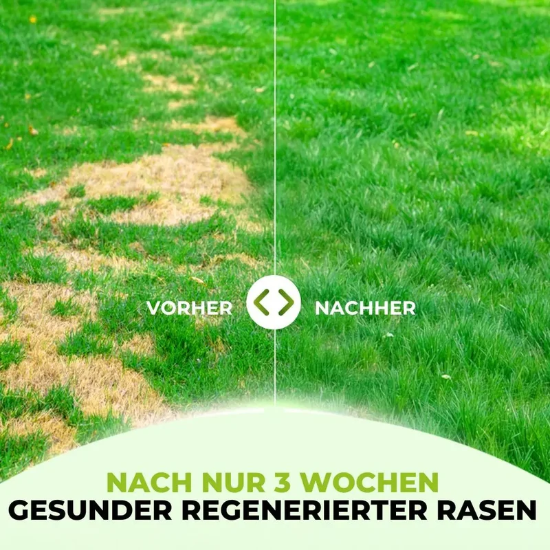 Frühlingsstarter-Set