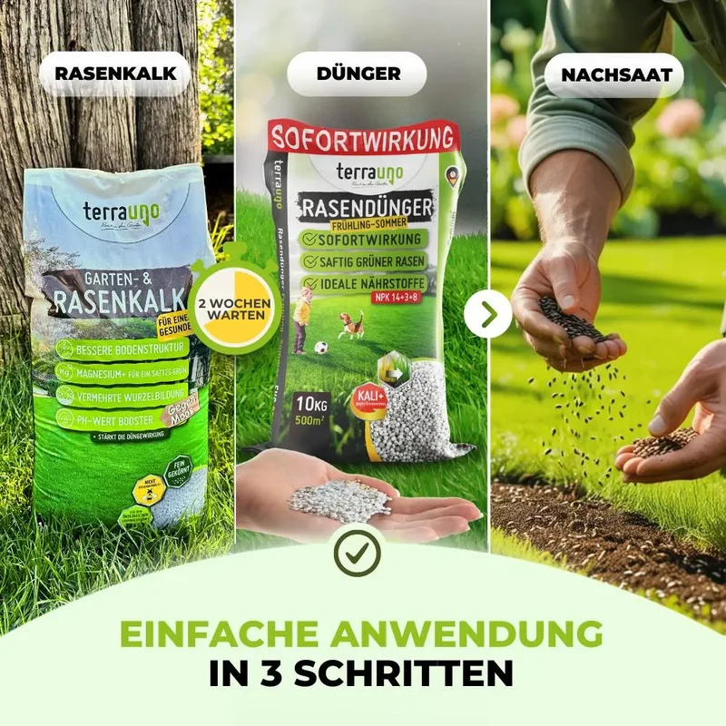 Frühlingsstarter-Set