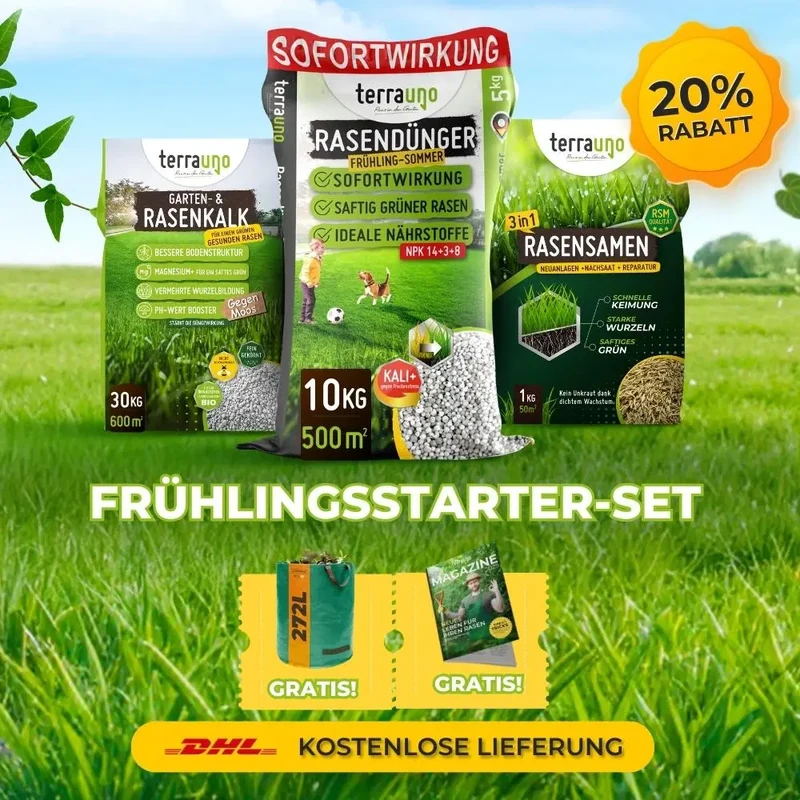 Frühlingsstarter-Set