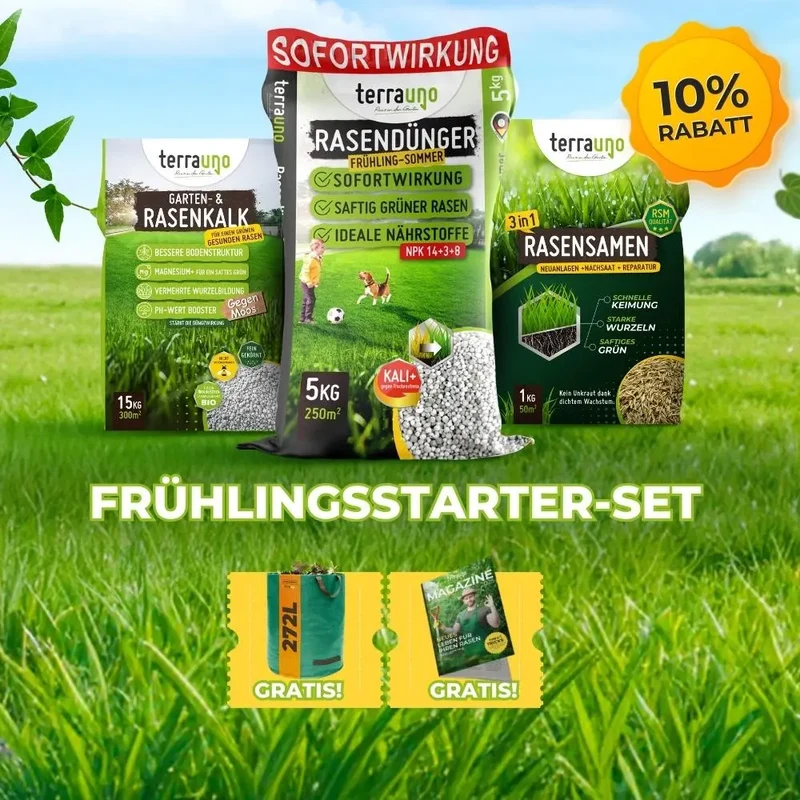 Frühlingsstarter-Set