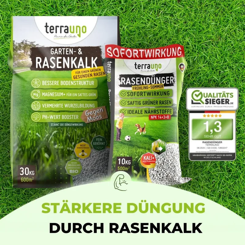 Frühlingsstarter-Set