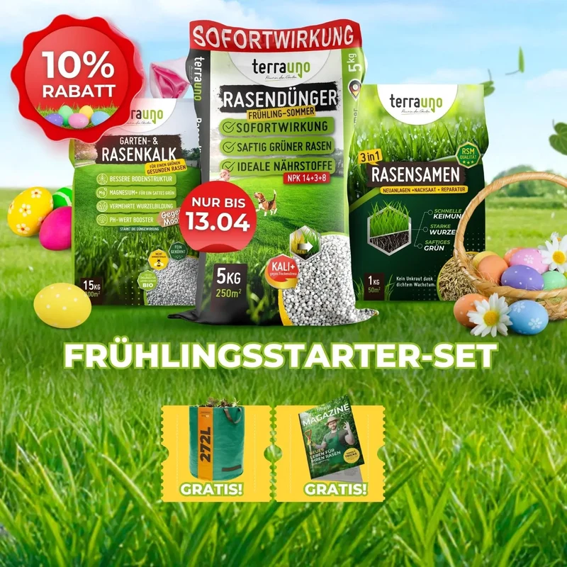 Frühlingsstarter-Set