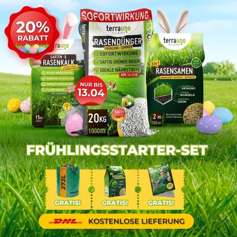 Frühlingsstarter-Set