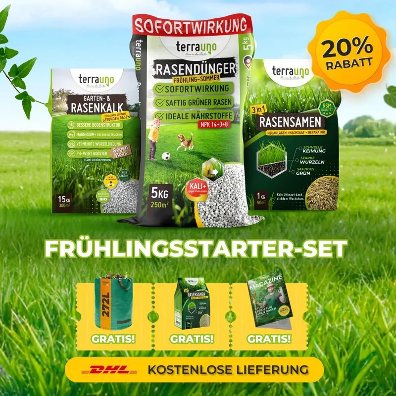 Frühlingsstarter-Set